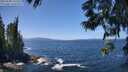 ./images/koeye/fitz-hugh/20250609/fitz-hugh20250609_131510M.jpg