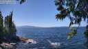 ./images/koeye/fitz-hugh/20250609/fitz-hugh20250609_134010M.jpg