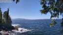 ./images/koeye/fitz-hugh/20250609/fitz-hugh20250609_135010M.jpg