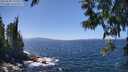 ./images/koeye/fitz-hugh/20250609/fitz-hugh20250609_135510M.jpg