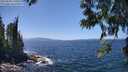 ./images/koeye/fitz-hugh/20250609/fitz-hugh20250609_140012M.jpg