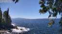 ./images/koeye/fitz-hugh/20250609/fitz-hugh20250609_140510M.jpg