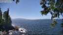 ./images/koeye/fitz-hugh/20250609/fitz-hugh20250609_143510M.jpg