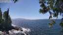 ./images/koeye/fitz-hugh/20250609/fitz-hugh20250609_144011M.jpg