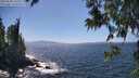./images/koeye/fitz-hugh/20250609/fitz-hugh20250609_145509M.jpg