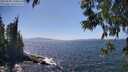 ./images/koeye/fitz-hugh/20250609/fitz-hugh20250609_150012M.jpg