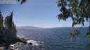 ./images/koeye/fitz-hugh/20250609/fitz-hugh20250609_151010M.jpg