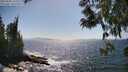 ./images/koeye/fitz-hugh/20250609/fitz-hugh20250609_155509M.jpg