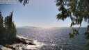 ./images/koeye/fitz-hugh/20250609/fitz-hugh20250609_160509M.jpg