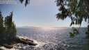 ./images/koeye/fitz-hugh/20250609/fitz-hugh20250609_162510M.jpg