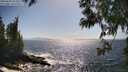 ./images/koeye/fitz-hugh/20250609/fitz-hugh20250609_163011M.jpg