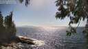 ./images/koeye/fitz-hugh/20250609/fitz-hugh20250609_163510M.jpg