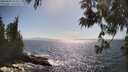./images/koeye/fitz-hugh/20250609/fitz-hugh20250609_164009M.jpg
