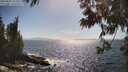 ./images/koeye/fitz-hugh/20250609/fitz-hugh20250609_164511M.jpg
