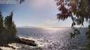 ./images/koeye/fitz-hugh/20250609/fitz-hugh20250609_165011M.jpg