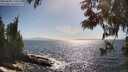 ./images/koeye/fitz-hugh/20250609/fitz-hugh20250609_170012M.jpg