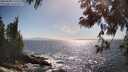 ./images/koeye/fitz-hugh/20250609/fitz-hugh20250609_170510M.jpg