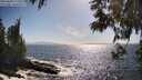 ./images/koeye/fitz-hugh/20250609/fitz-hugh20250609_171011M.jpg