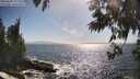./images/koeye/fitz-hugh/20250609/fitz-hugh20250609_171510M.jpg