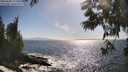 ./images/koeye/fitz-hugh/20250609/fitz-hugh20250609_172007M.jpg