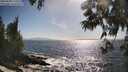 ./images/koeye/fitz-hugh/20250609/fitz-hugh20250609_172510M.jpg