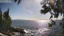 ./images/koeye/fitz-hugh/20250609/fitz-hugh20250609_173010M.jpg