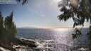 ./images/koeye/fitz-hugh/20250609/fitz-hugh20250609_173510M.jpg