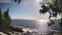 ./images/koeye/fitz-hugh/20250609/fitz-hugh20250609_174011M.jpg