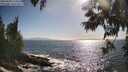 ./images/koeye/fitz-hugh/20250609/fitz-hugh20250609_174511M.jpg