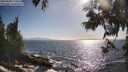 ./images/koeye/fitz-hugh/20250609/fitz-hugh20250609_175008M.jpg
