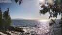 ./images/koeye/fitz-hugh/20250609/fitz-hugh20250609_175510M.jpg