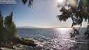 ./images/koeye/fitz-hugh/20250609/fitz-hugh20250609_180012M.jpg