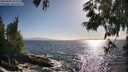./images/koeye/fitz-hugh/20250609/fitz-hugh20250609_181510M.jpg