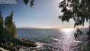 ./images/koeye/fitz-hugh/20250609/fitz-hugh20250609_182010M.jpg