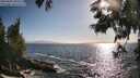 ./images/koeye/fitz-hugh/20250609/fitz-hugh20250609_182510M.jpg