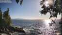 ./images/koeye/fitz-hugh/20250609/fitz-hugh20250609_183508M.jpg