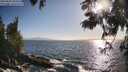 ./images/koeye/fitz-hugh/20250609/fitz-hugh20250609_184511M.jpg