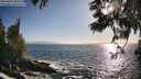./images/koeye/fitz-hugh/20250609/fitz-hugh20250609_185011M.jpg