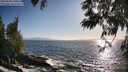 ./images/koeye/fitz-hugh/20250609/fitz-hugh20250609_190010M.jpg