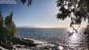 ./images/koeye/fitz-hugh/20250609/fitz-hugh20250609_190508M.jpg