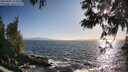./images/koeye/fitz-hugh/20250609/fitz-hugh20250609_191010M.jpg