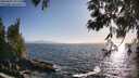 ./images/koeye/fitz-hugh/20250609/fitz-hugh20250609_191508M.jpg