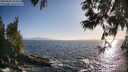 ./images/koeye/fitz-hugh/20250609/fitz-hugh20250609_192009M.jpg