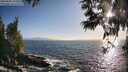 ./images/koeye/fitz-hugh/20250609/fitz-hugh20250609_192508M.jpg