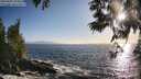 ./images/koeye/fitz-hugh/20250609/fitz-hugh20250609_193007M.jpg