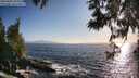 ./images/koeye/fitz-hugh/20250609/fitz-hugh20250609_193507M.jpg