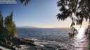 ./images/koeye/fitz-hugh/20250609/fitz-hugh20250609_194009M.jpg