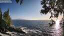 ./images/koeye/fitz-hugh/20250609/fitz-hugh20250609_194507M.jpg
