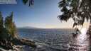 ./images/koeye/fitz-hugh/20250609/fitz-hugh20250609_195008M.jpg
