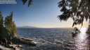 ./images/koeye/fitz-hugh/20250609/fitz-hugh20250609_195508M.jpg